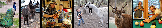 (February 3, 2013) Super Bowl Party at Paradise Ranch